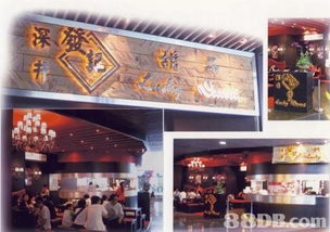 自助網(wǎng)頁設(shè)計(jì)咨詢 從零開始構(gòu)建你的在線品牌